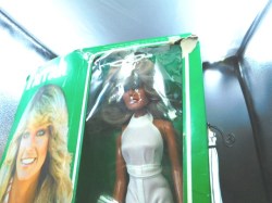 farrah in box top